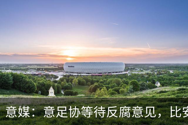 意媒：意足协等待反腐意见，比安凯迪任命待定